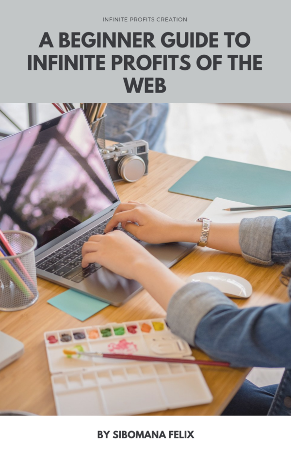 A BEGINNER GUIDE TO INFINITE PROFITS OF THE WEB